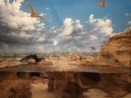 Città Alta, Bergamo - Museo di scienze naturali Enrico Caffi