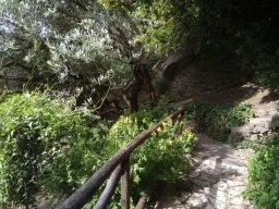 Città Alta, Bergamo - Orto Botanico &quot;Lorenzo Rota&quot;