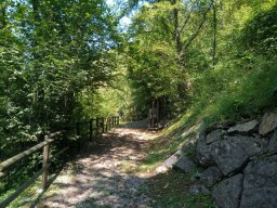 Parco Paleontologico di Cene
