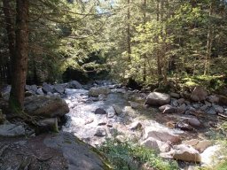 Schilpario - Torrente Vò